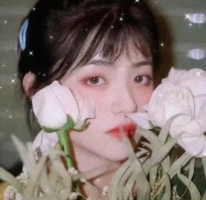 来自汪星的你