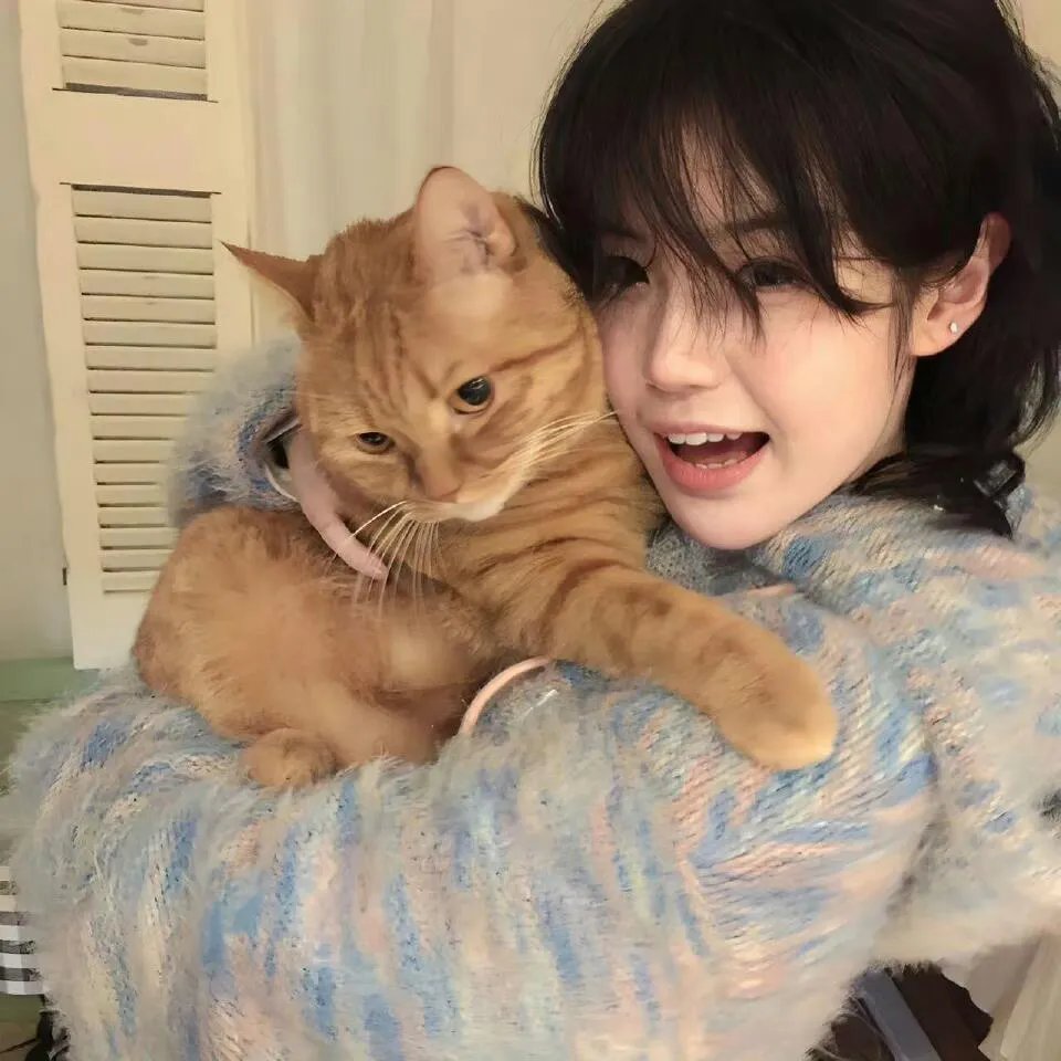 好莱坞以北